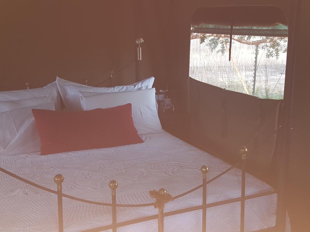 Hoopenburg Guesthouse Klapmuts Extérieur photo